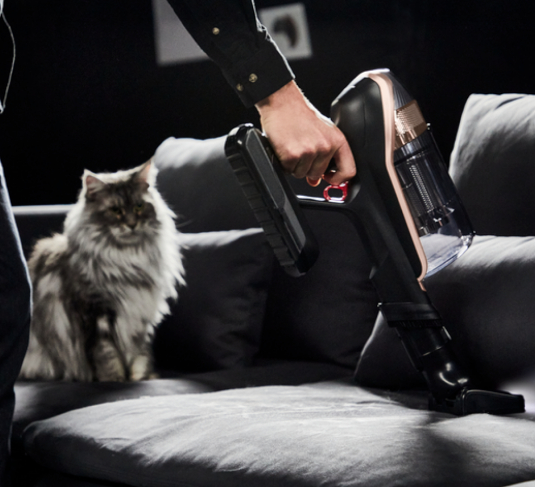 Κάποιος καθαρίζει ένα καναπέ με μια γάτα πάνω
